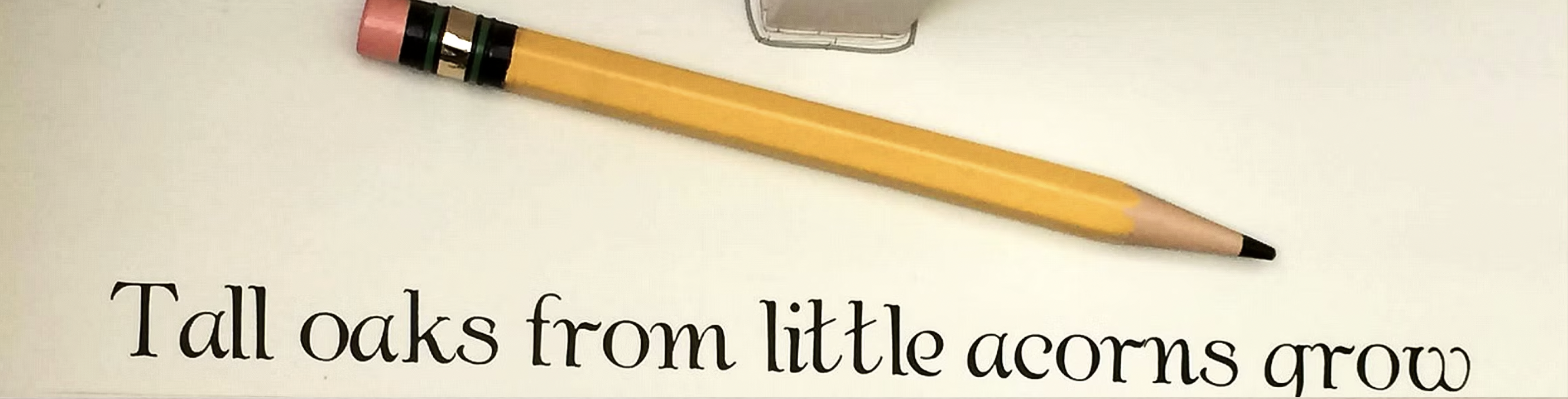 Tall oaks from little acorns grow